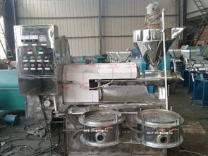 專(zhuān)業(yè)供應(yīng)元鑫芝麻榨油機(jī) 高效穩(wěn)定的機(jī)械選擇